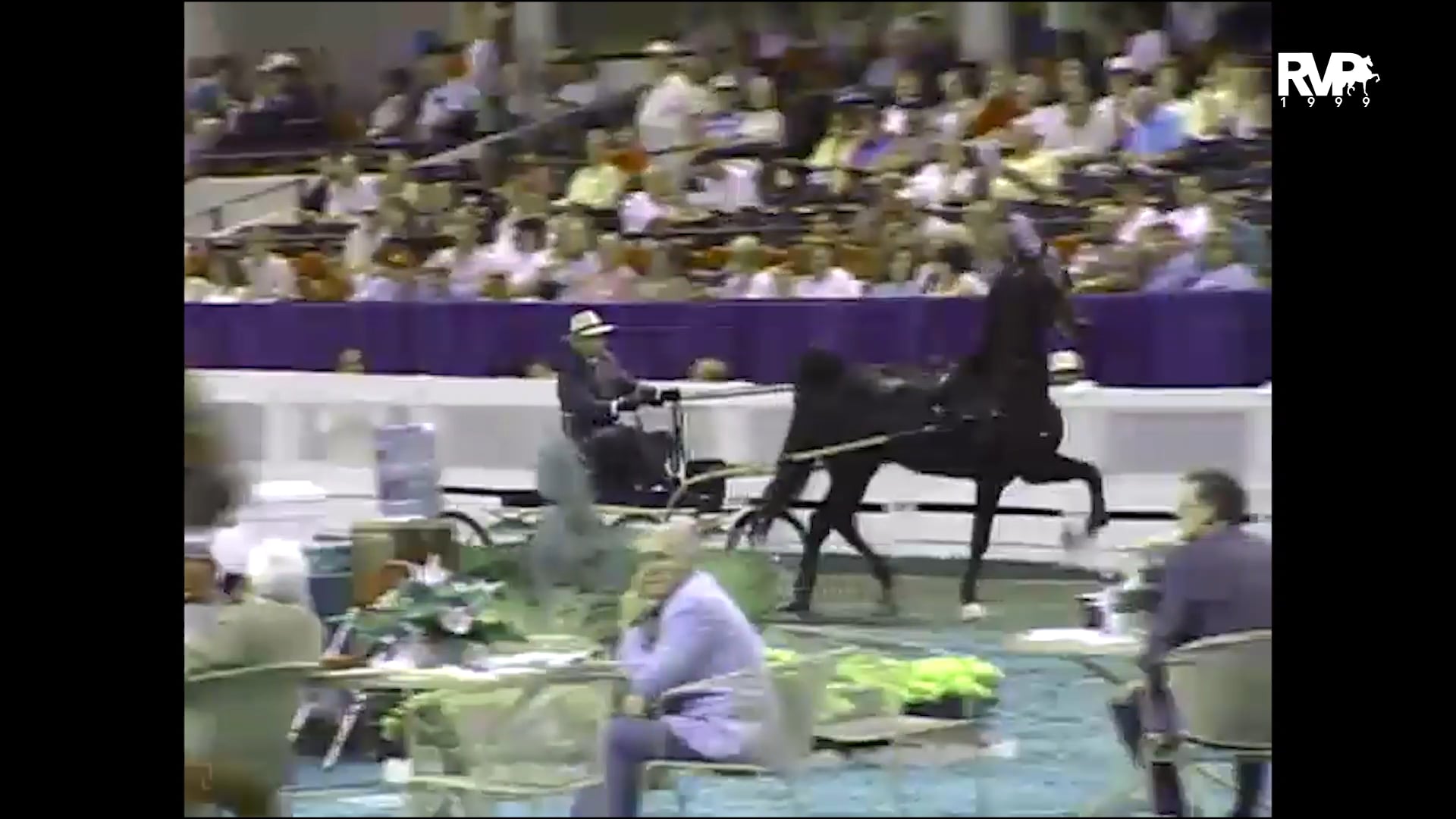 1999 WCHS - Class 89 ASHA National Three Year Old Futurity - Fine Harness