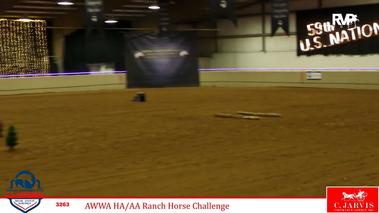 2025 Arabian Nationals - Saturday Afternoon - Mustang