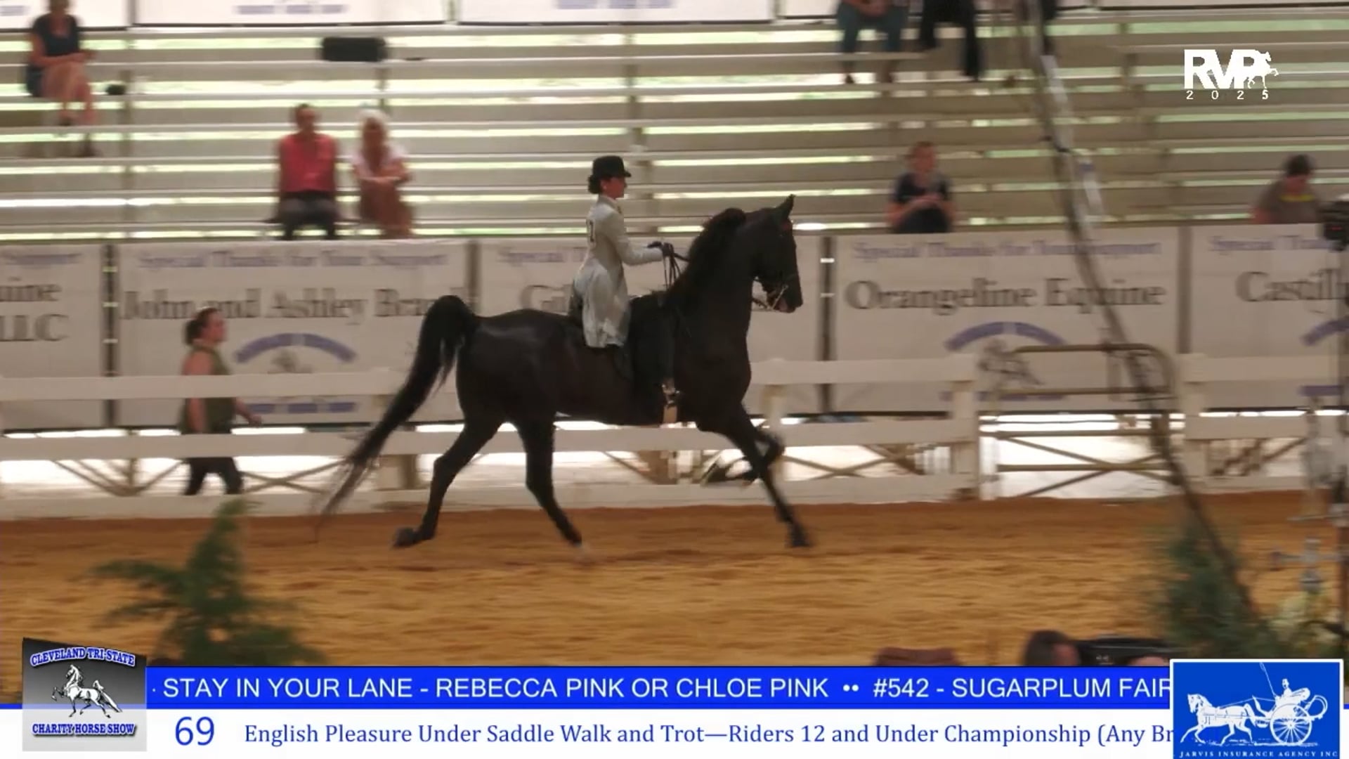 CTS25 - Class 69 - English Pleasure Under Saddle Walk-Trot 12 & Under Championship