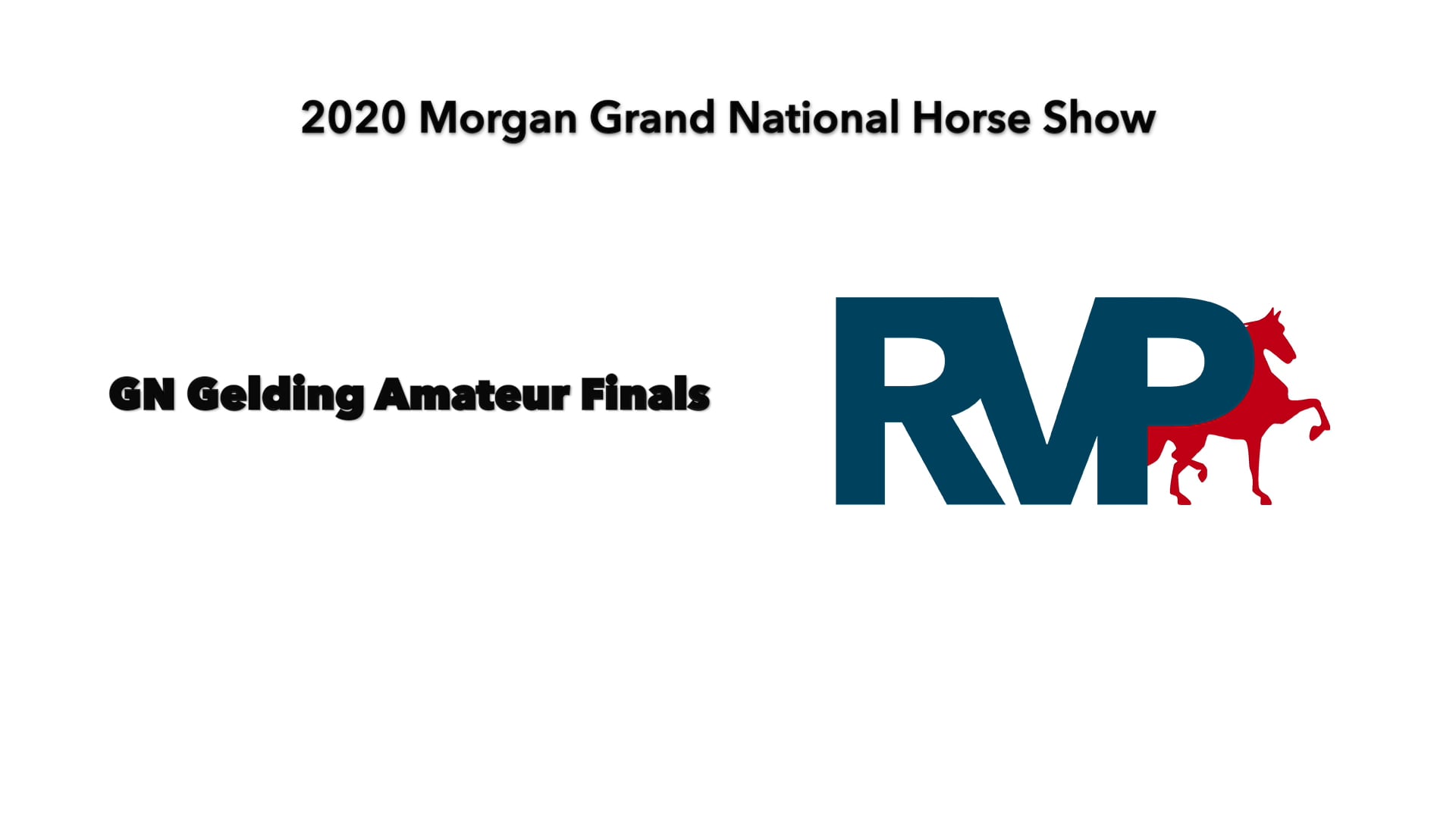 2020 MGN - Class 4 GN Gelding Amateur Finals