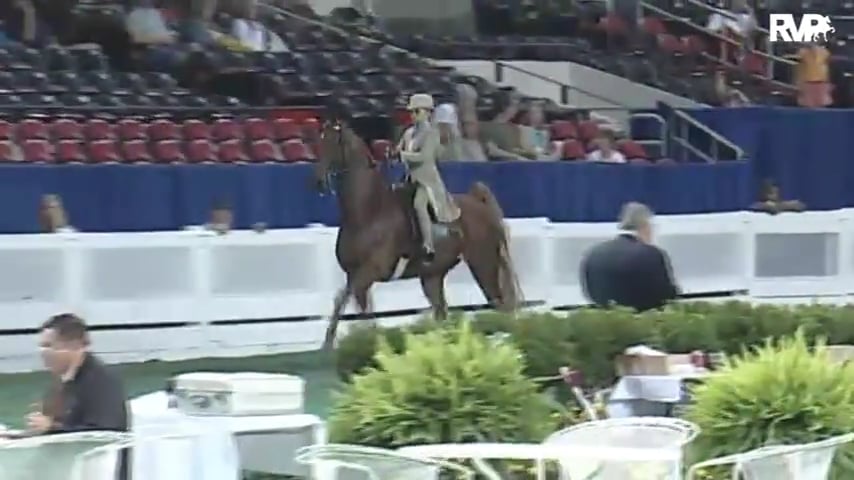 2010 World's Championship Horse Show Class 75 ASB Junior Exhibitor Three Gaited Country Pleasure Rider 13 & Under Division 2