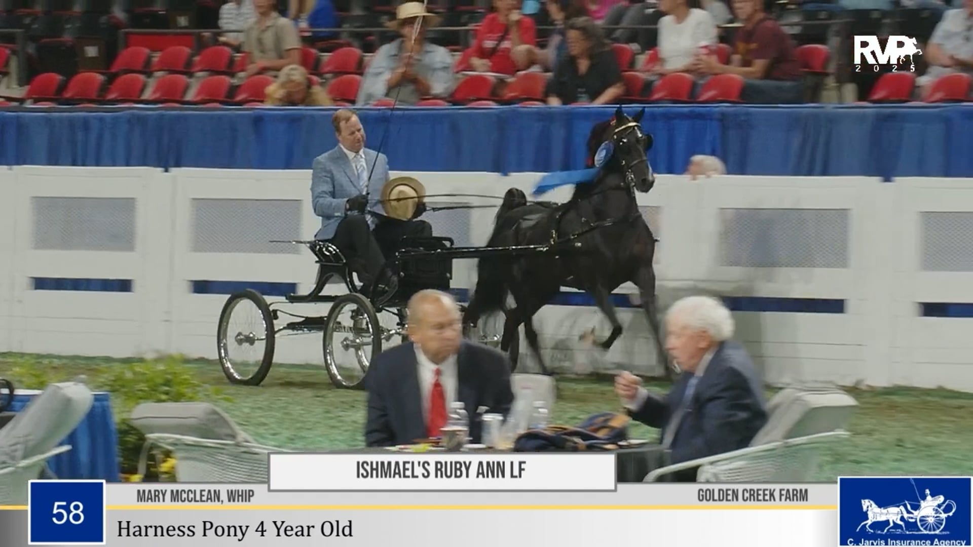 WCHS25 - Class 58 - Ishmael's Ruby Ann LF and Tom Lowry, Whip