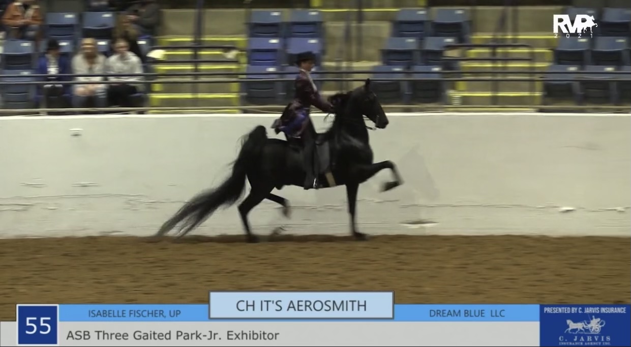 BB21 - Class 55 - ASB Three Gaited Park Jr Exhibitor 