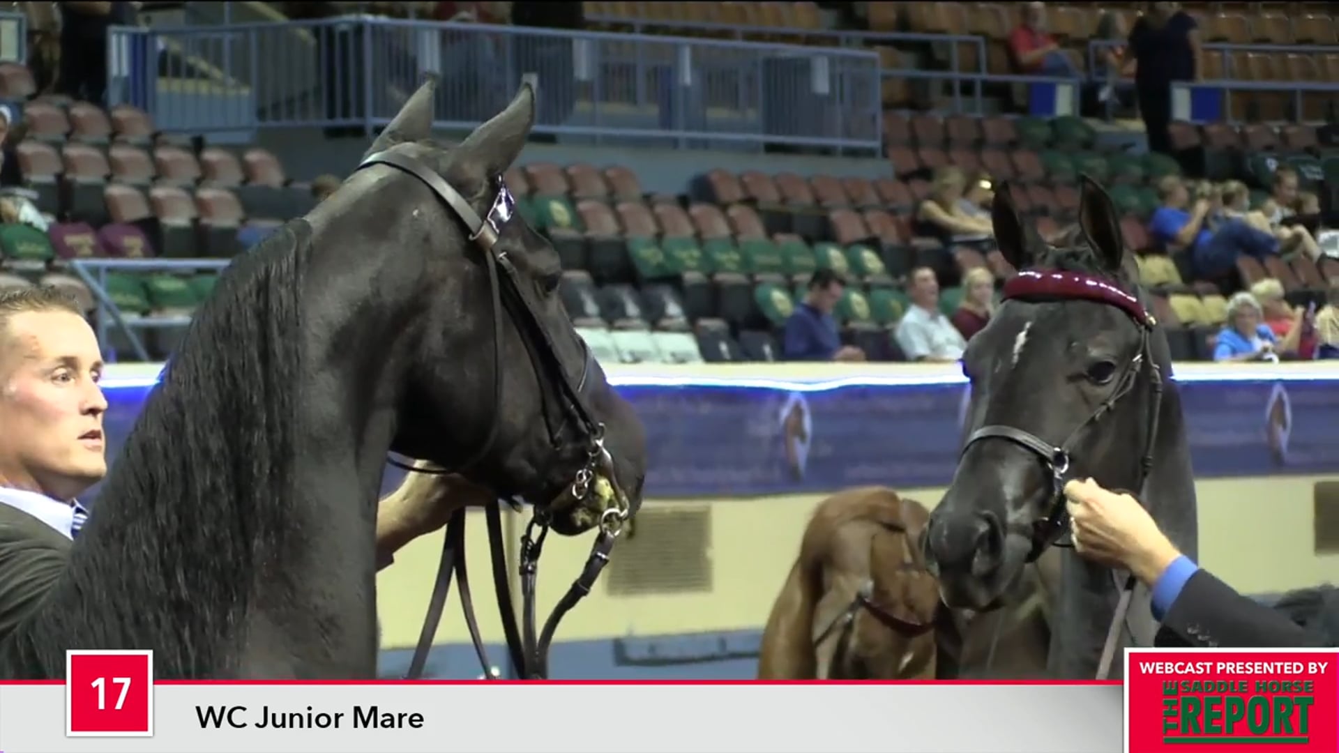 MGN17 - Class 17 - WC Junior Mare