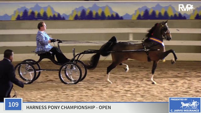 ASC19 - Class 109 - Heartland Bejeweled