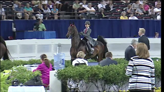 2010 WCHS - Class 69 - Equitation 11 ...