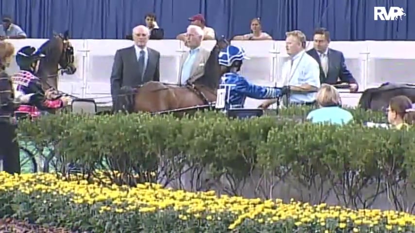 2010 World's Championship Horse Show Class 129 Junior Exhibitor Roadster Pony-Driver 14-17