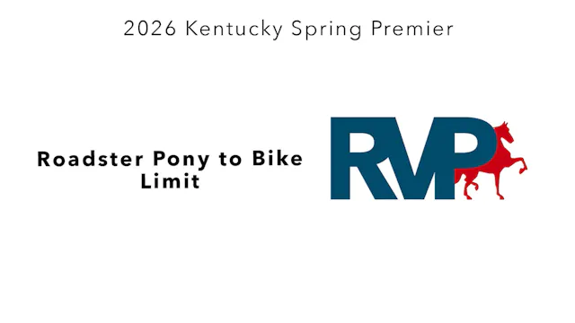 KYSP26 - Class 22 - Roadster Pony to ...