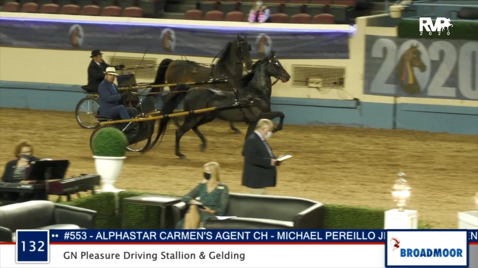 2020 MGN - Class 132 GN Pleasure Driving Stallion & Gelding