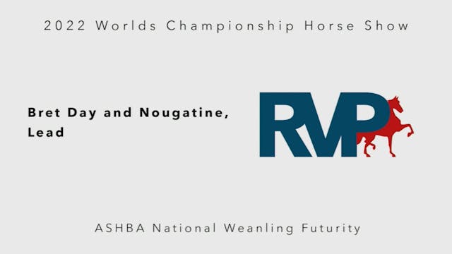 2022 World's Championship Horse Show ...