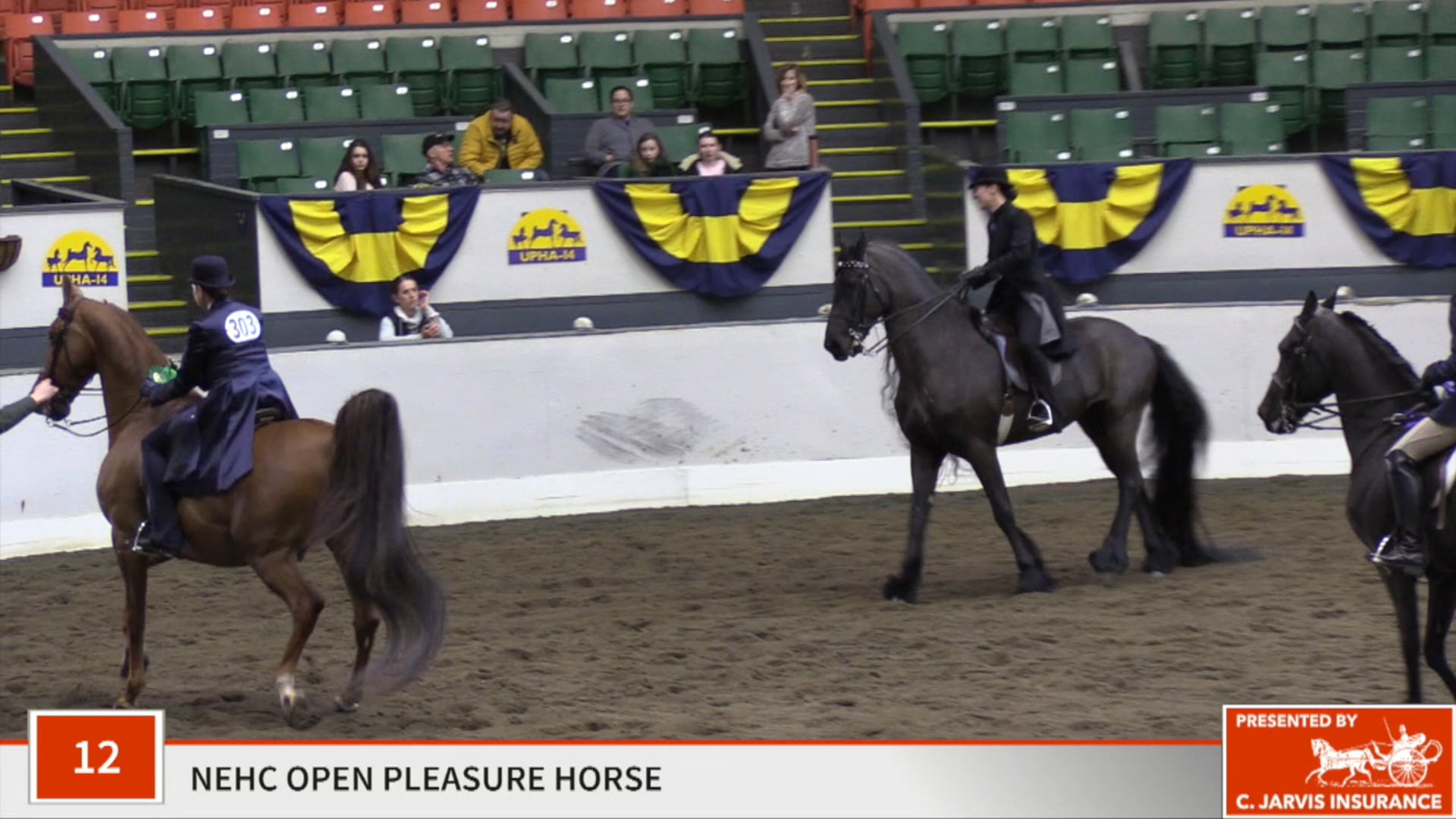 UPHA14-19 - Class 12 - Elvis Of Whipple Farm