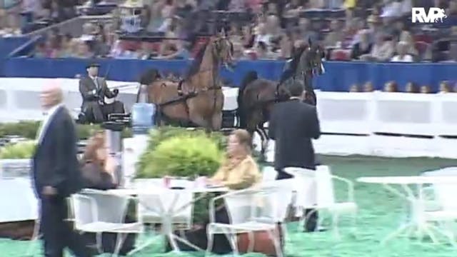 2010 World's Championship Horse Show ...