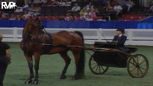 2004 World's Championship Horse Show ...