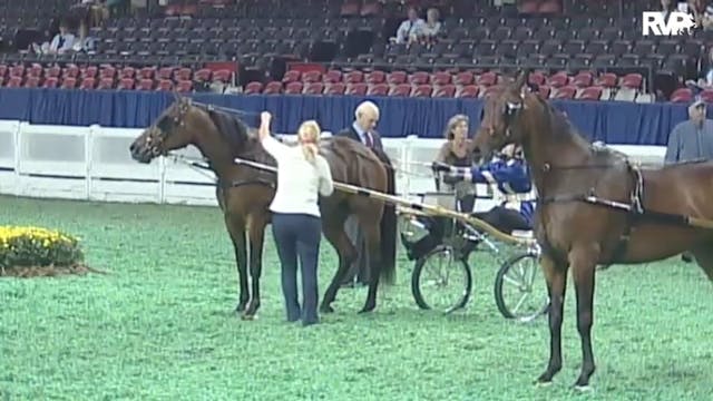 2010 World's Championship Horse Show ...