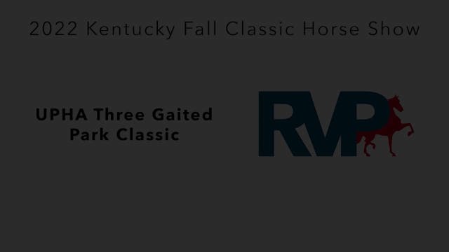 KYFC22 - Class 21 - UPHA Three Gaited...