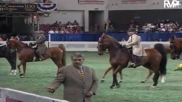 2003 WCHS Class 26 ASB Adult Three Ga...
