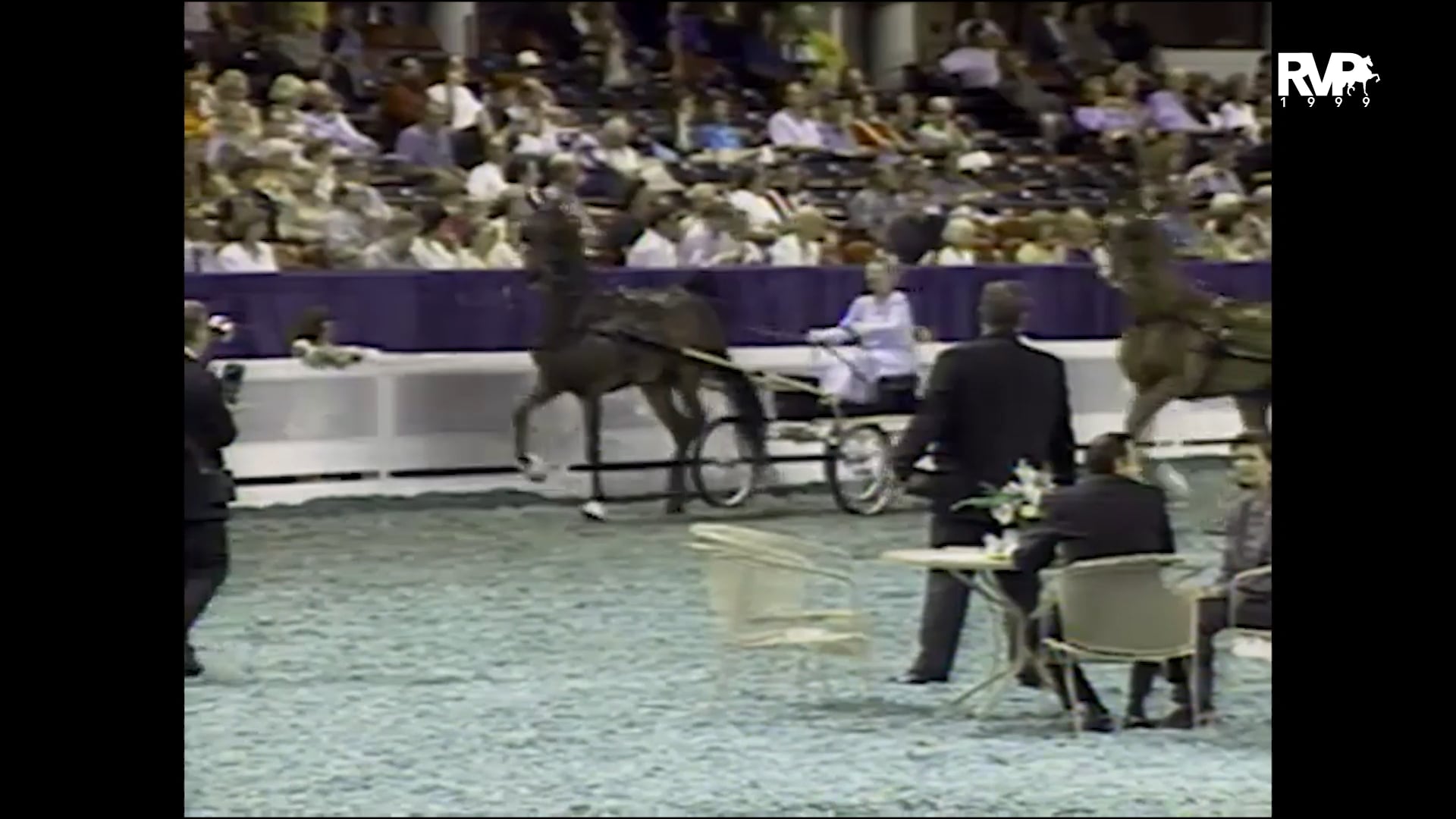 1999 WCHS - Class 49 Amateur Fine Harness Stake