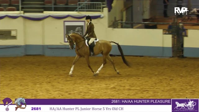 YAN24 - Class 2681 - HA-AA Hunter Ple...