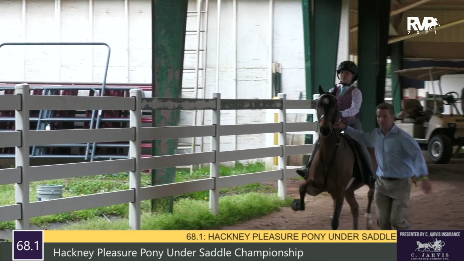 RSP21 - Class 68.1 - Hackney Pleasure Pony Under
Saddle Championship
