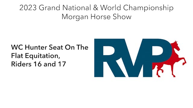MGN23 - Class 383 - WC Hunter Seat On...