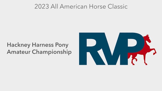 AAC23 - Class 130 -Hackney Harness Po...