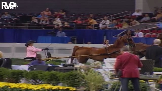 2004 World's Championship Horse Show ...