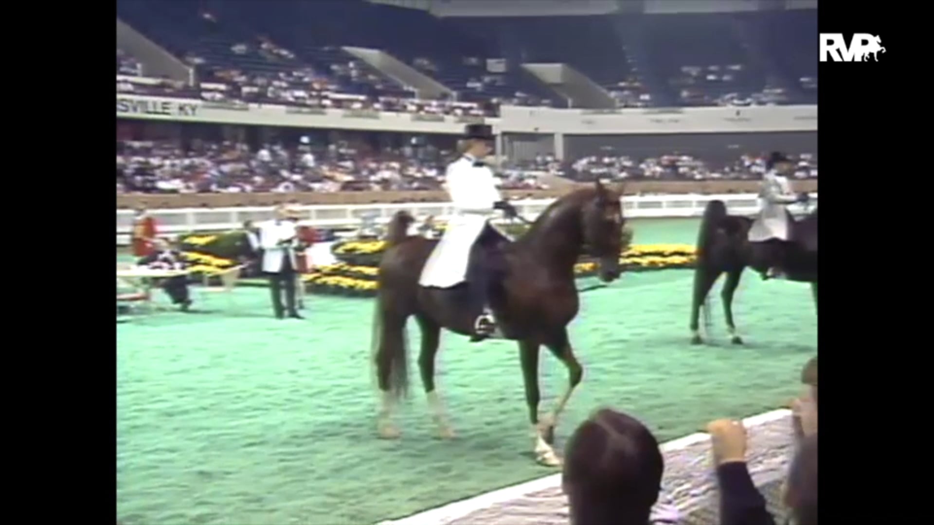 1989 WCHS Class 71 Three Gaited Junior Exhibitor 15-17 Division 2