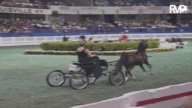 2007 WCHS Class 150 Harness Pony Stal...
