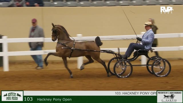 KYSP24 - Class 103 - Hackney Pony Open