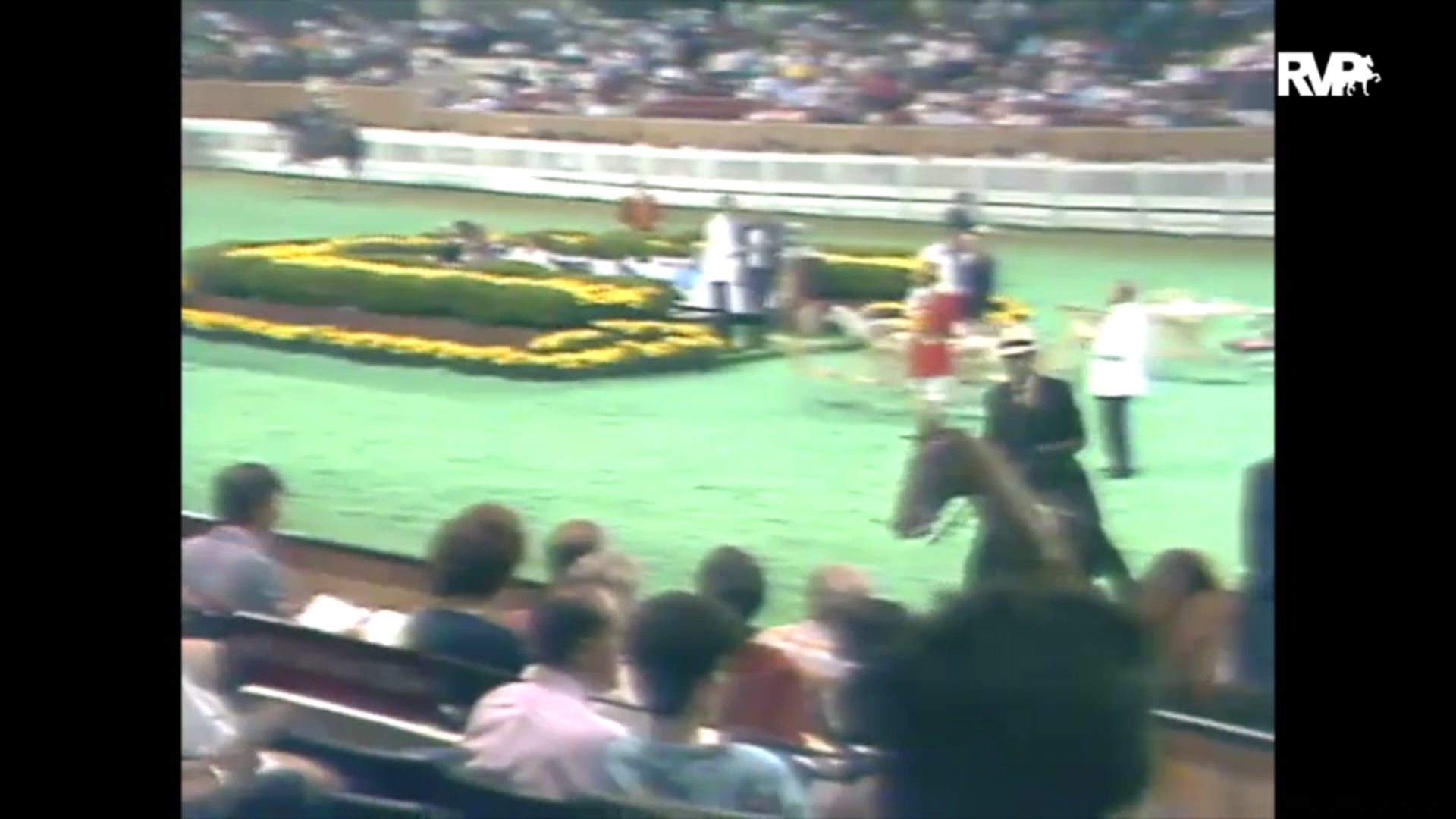 1989 WCHS Class 72 ASHA National Futurity Three Year Old Five Gaited