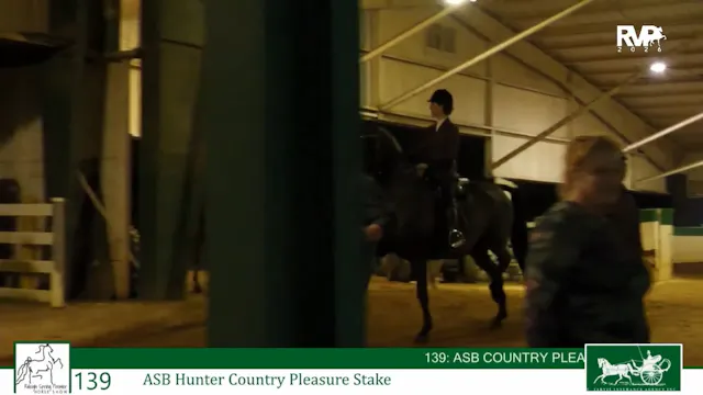 RSP26 - Class 139 - ASB Hunter Countr...