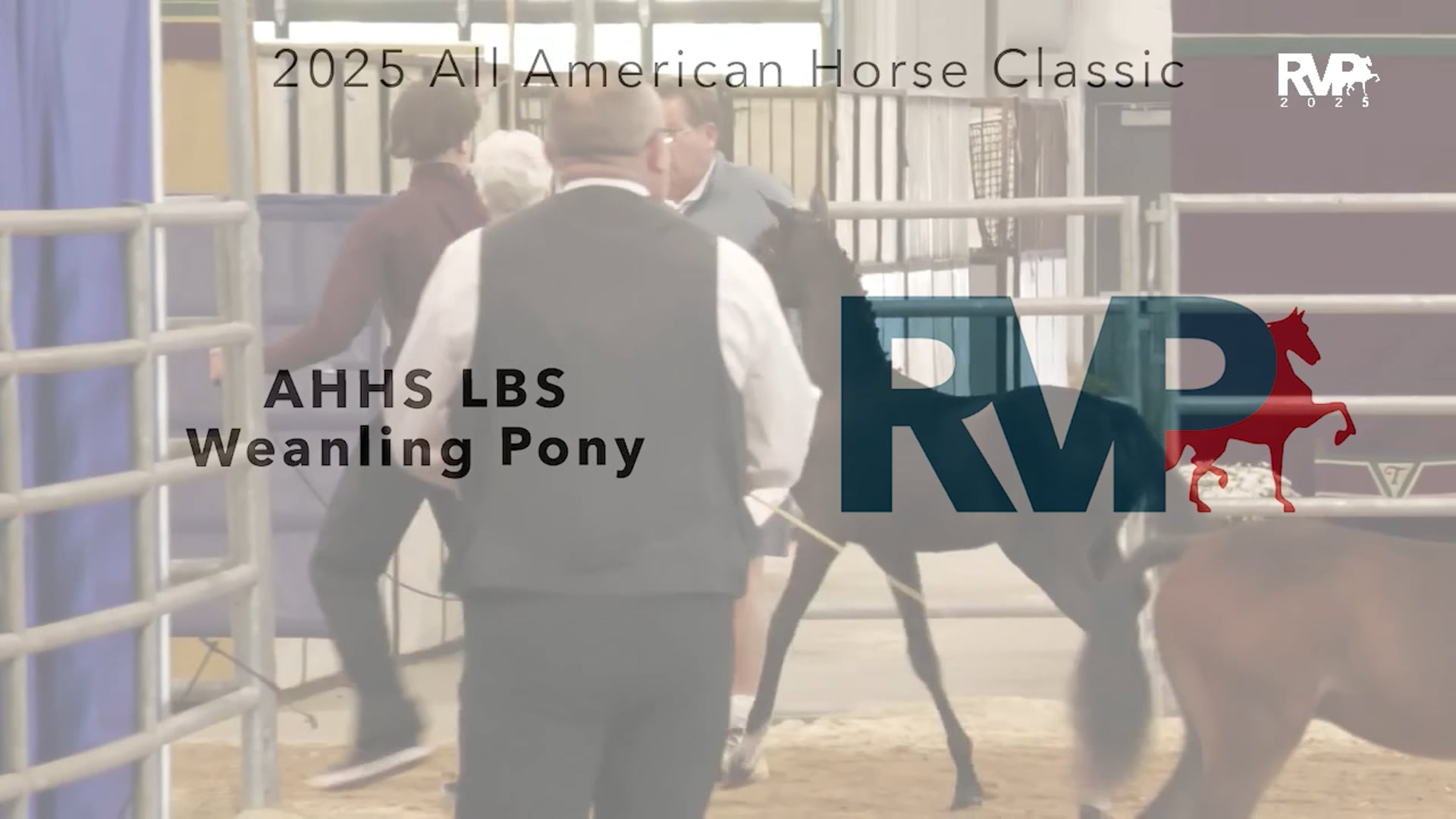 AAC25 - Class 57 - AHHS LBS Weanling Pony