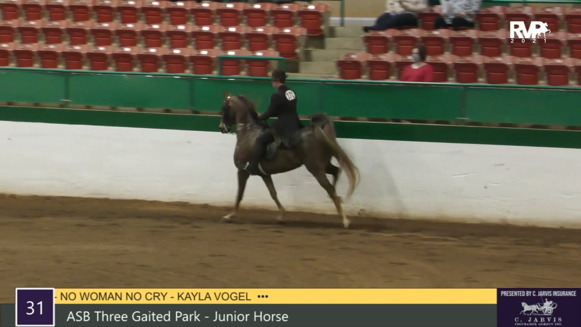 RSP21 - Class 31 - ASB Three Gaited Park Junior
Horse
