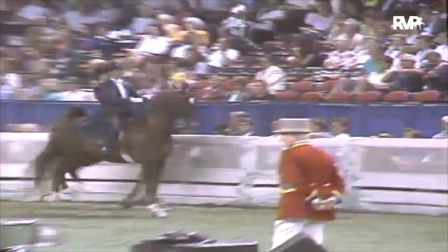 1991 WCHS Class 121 Kentucky County F...