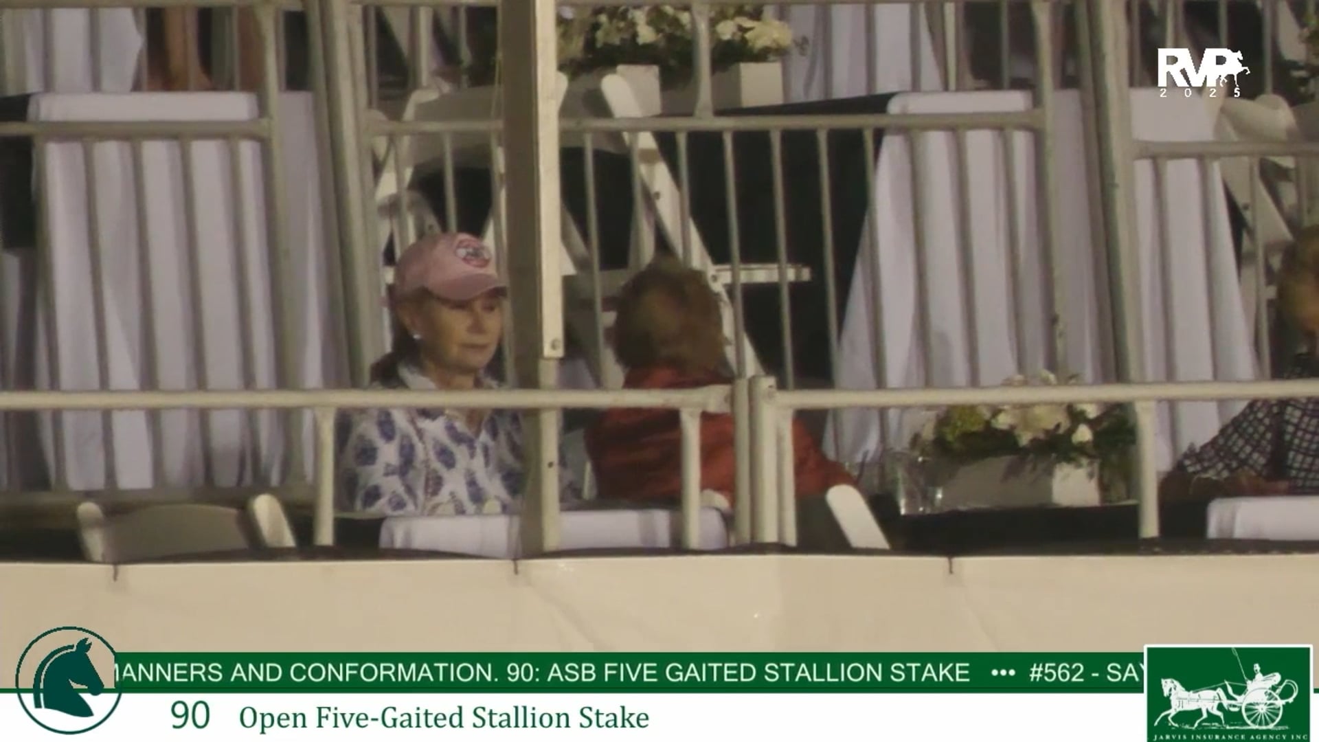 LJL25 - Class 90 - Open Five Gaited Stallion Stake