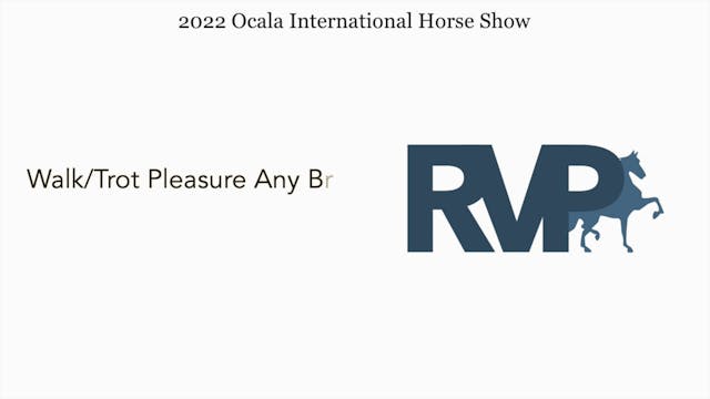OIHS22 -  Class 35 - Walk:Trot Pleasu...