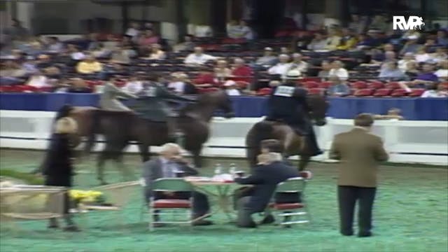 2000 WCHS Class 121 ASB Three Gaited ...