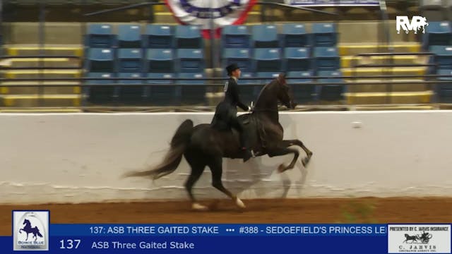 BB24 - Class 137 -  ASB Three Gaited ...