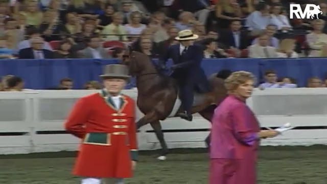 2004 World's Championship Horse Show ...