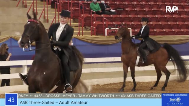 2021 Asheville Saddlebred Classic - T...