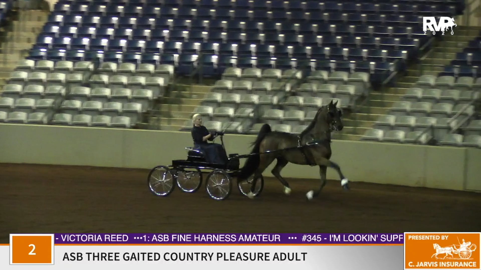 2020 SSFF - Class 1 ASB Fine Harness Amateur