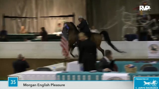 UPHA16 - Class 35 - Cimi's Avante Garde