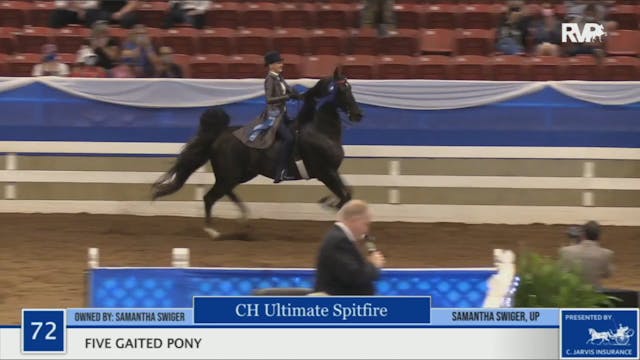 BR20 - Class 72 Five Gaited Pony