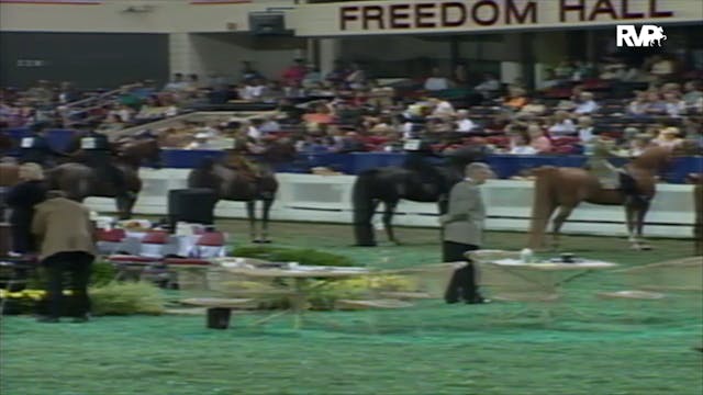 2000 WCHS Class 207 ASB Three Gaited ...