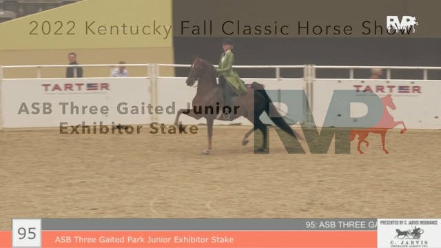 KYFC22 - Class 95 - ASB Three Gaited ...