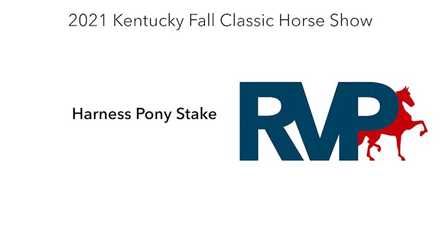 KYFC21 - Class 110 -  Harness Pony St...