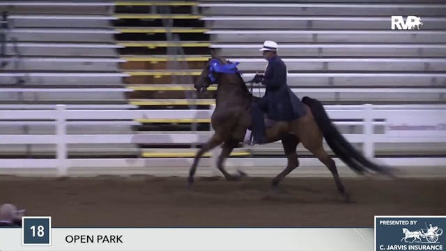 SEC17 - Class 18 - Royale Tango