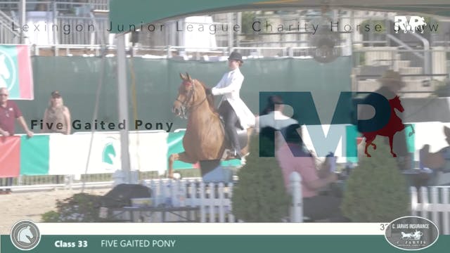LJL22 - Class 33 - Five Gaited Pony