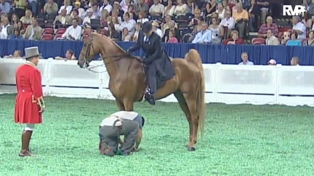 2010 World's Championship Horse Show ...