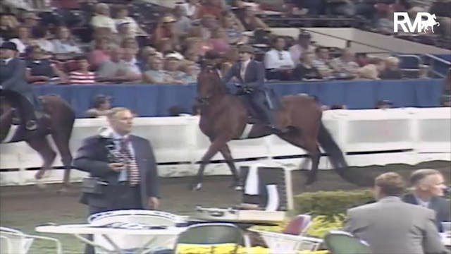 2003 WCHS Class 79 Adult Five Gaited ...